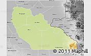 Physical 3D Map of Junglei, desaturated