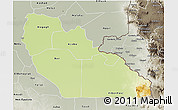 Physical 3D Map of Junglei, semi-desaturated