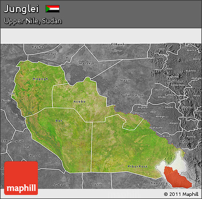 Satellite 3D Map of Junglei, desaturated