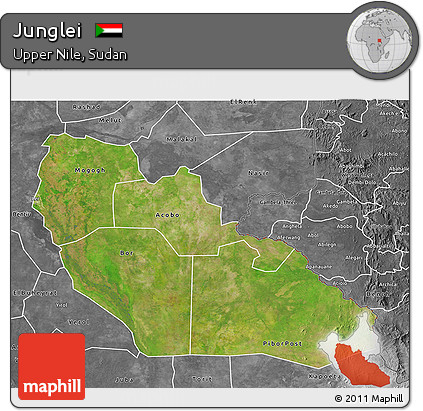 Satellite 3D Map of Junglei, desaturated