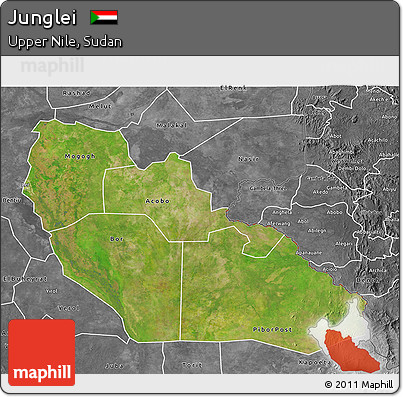 Satellite 3D Map of Junglei, desaturated