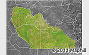 Satellite 3D Map of Junglei, desaturated