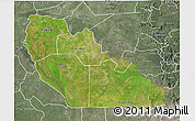 Satellite 3D Map of Junglei, semi-desaturated