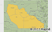 Savanna Style 3D Map of Junglei