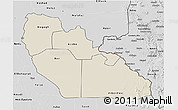 Shaded Relief 3D Map of Junglei, desaturated