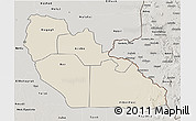 Shaded Relief 3D Map of Junglei, semi-desaturated
