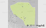 Physical 3D Map of Bor, desaturated