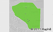 Political 3D Map of Bor, lighten, desaturated