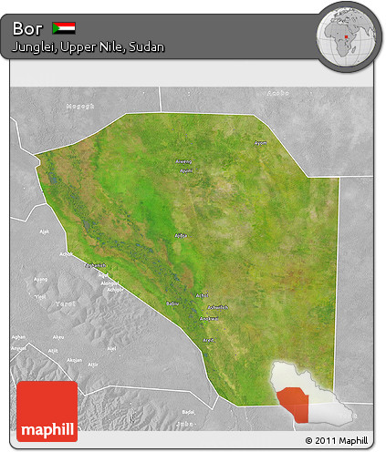 Satellite 3D Map of Bor, lighten, desaturated