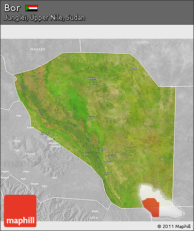 Satellite 3D Map of Bor, lighten, desaturated