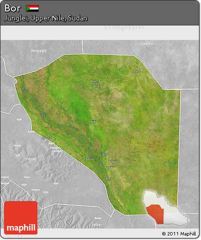 Satellite 3D Map of Bor, lighten, desaturated