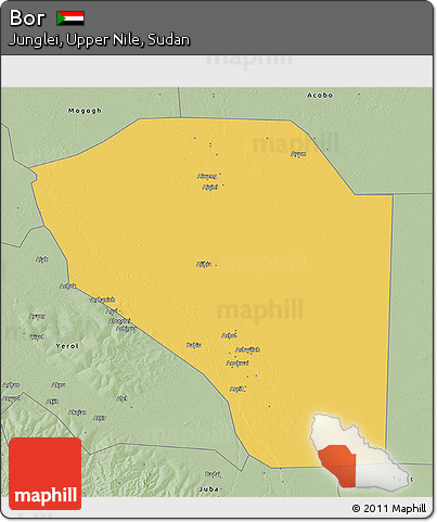 Savanna Style 3D Map of Bor