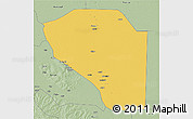 Savanna Style 3D Map of Bor