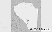 Gray Map of Bor