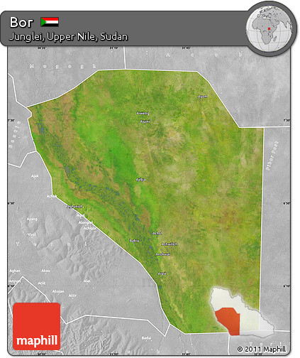 Satellite Map of Bor, lighten, desaturated