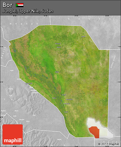 Satellite Map of Bor, lighten, desaturated
