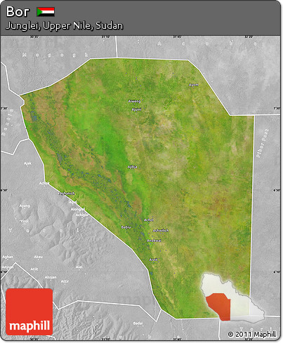 Satellite Map of Bor, lighten, desaturated