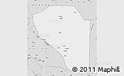 Silver Style Map of Bor