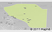 Physical Panoramic Map of Bor, desaturated