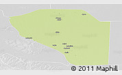 Physical Panoramic Map of Bor, lighten, desaturated
