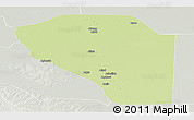 Physical Panoramic Map of Bor, lighten, semi-desaturated