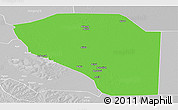 Political Panoramic Map of Bor, lighten, desaturated