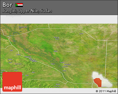 Satellite Panoramic Map of Bor