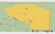 Savanna Style Panoramic Map of Bor