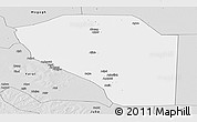 Silver Style Panoramic Map of Bor