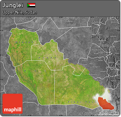 Satellite Map of Junglei, desaturated
