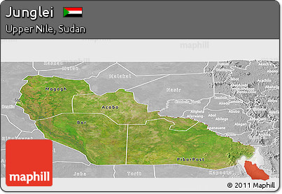 Satellite Panoramic Map of Junglei, lighten, desaturated