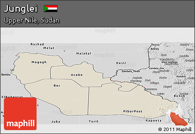 Shaded Relief Panoramic Map of Junglei, desaturated