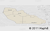 Shaded Relief Panoramic Map of Junglei, lighten, desaturated