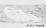 Silver Style Panoramic Map of Junglei