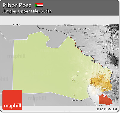Physical 3D Map of Pibor Post, desaturated