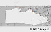 Gray Panoramic Map of Pibor Post