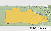 Savanna Style Panoramic Map of Pibor Post