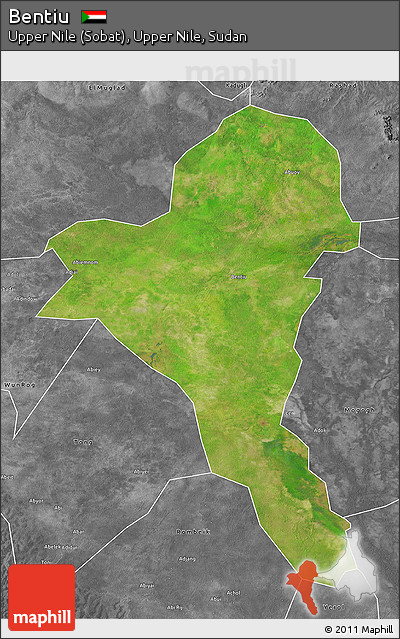 Satellite 3D Map of Bentiu, desaturated