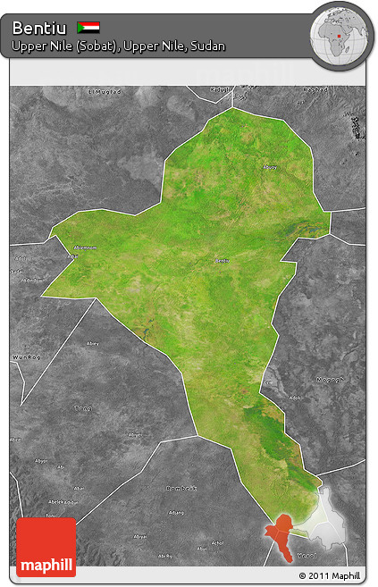 Satellite 3D Map of Bentiu, desaturated