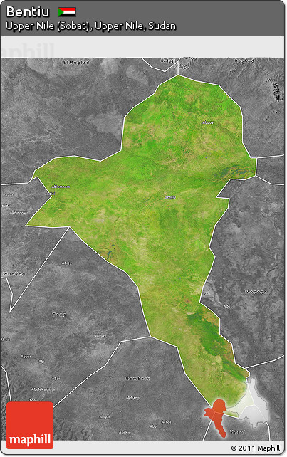 Satellite 3D Map of Bentiu, desaturated