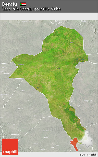 Satellite 3D Map of Bentiu, lighten, semi-desaturated