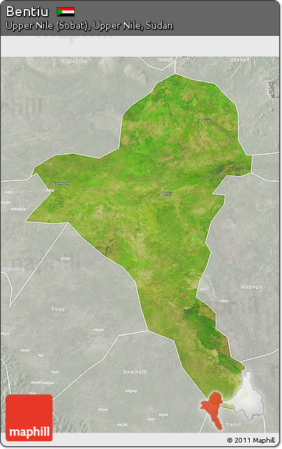 Satellite 3D Map of Bentiu, lighten, semi-desaturated