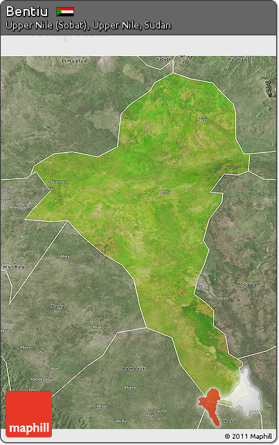 Satellite 3D Map of Bentiu, semi-desaturated