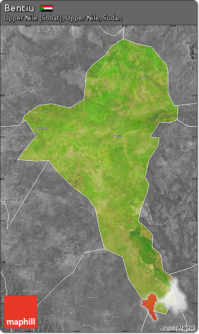 Satellite Map of Bentiu, desaturated