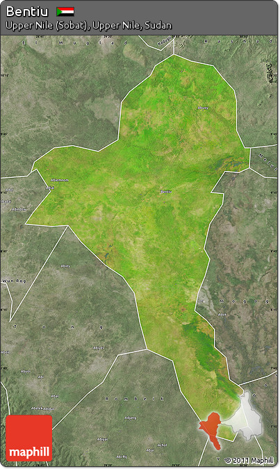 Satellite Map of Bentiu, semi-desaturated