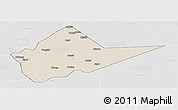 Shaded Relief Panoramic Map of Malakal, lighten, desaturated