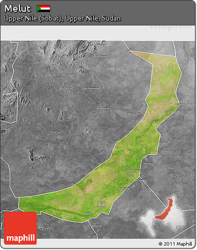 Satellite 3D Map of Melut, desaturated