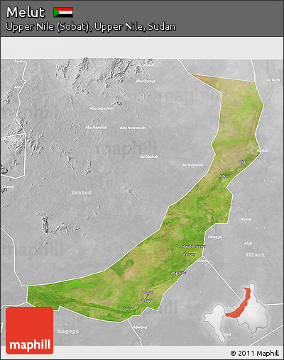 Satellite 3D Map of Melut, lighten, desaturated
