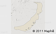Shaded Relief 3D Map of Melut, lighten, semi-desaturated