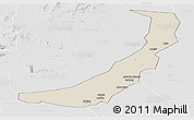 Shaded Relief Panoramic Map of Melut, lighten, desaturated